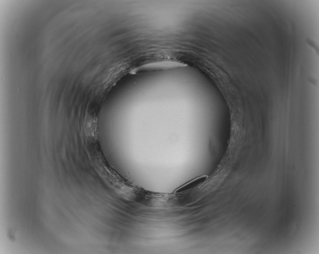 X0000100970096200807081230