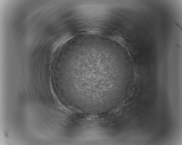 X0000100970097200807081229