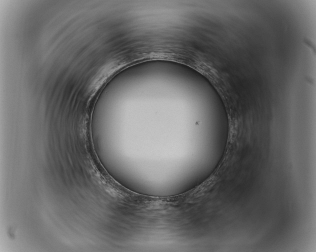X0000100970098200807081229