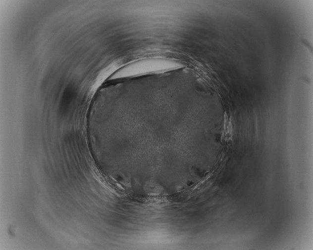 X0000100970099200807081229