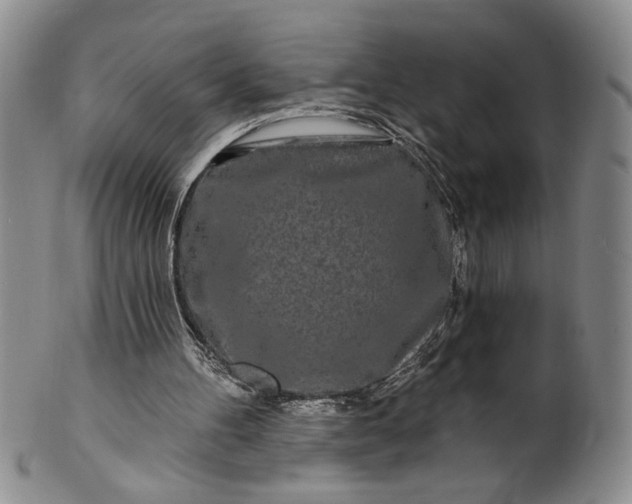 X0000100970100200807081229