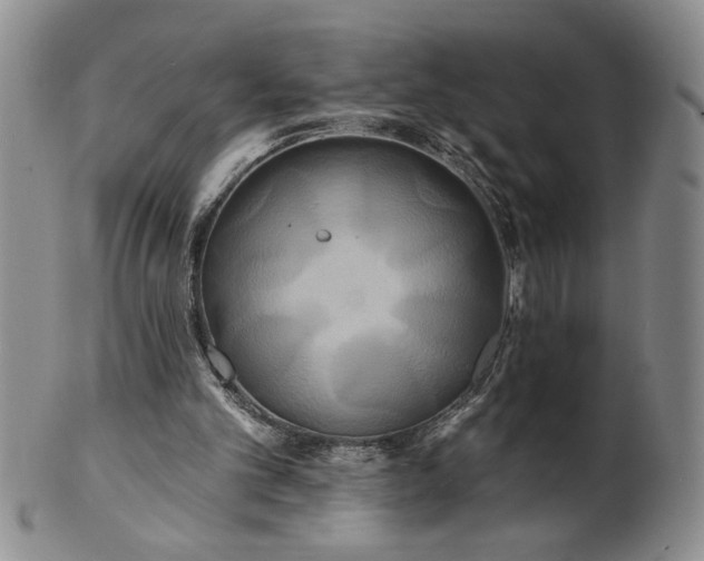 X0000100970101200807081229