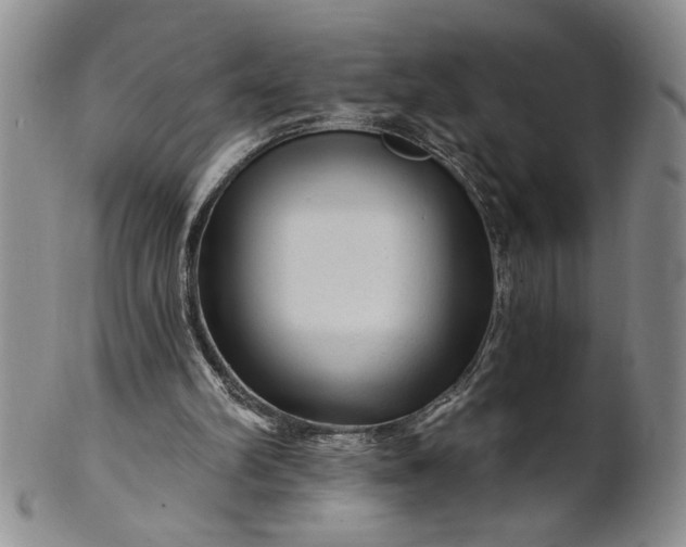 X0000100970102200807081229
