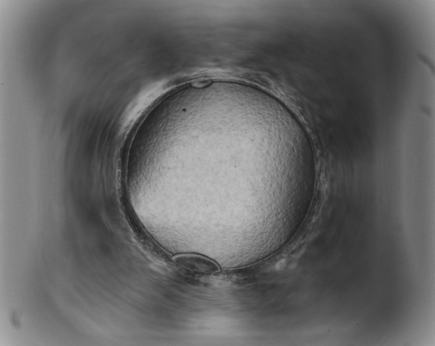 X0000100970103200807081229