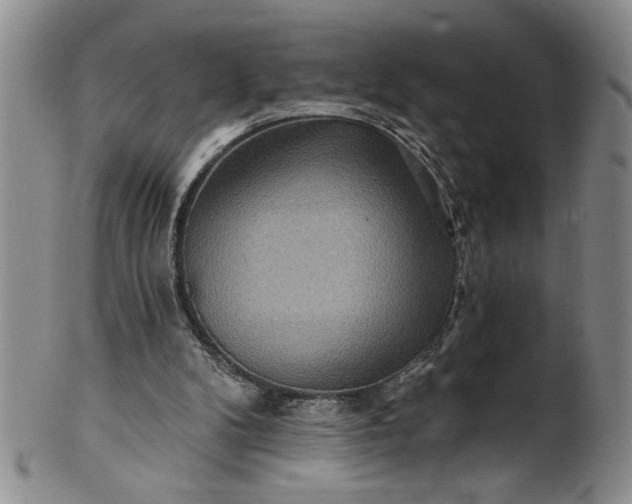 X0000100970104200807081229