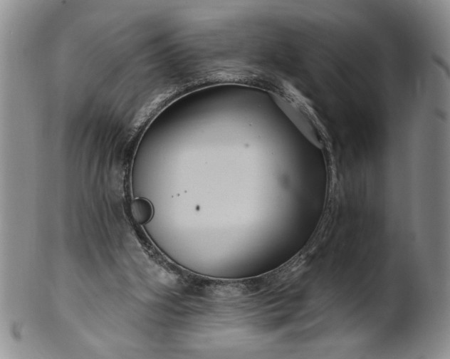 X0000100970106200807081229