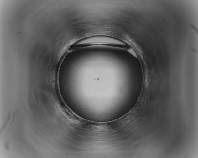 X0000100970107200807081229