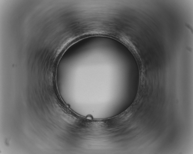 X0000100970108200807081229