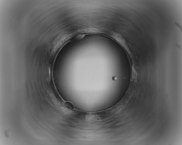 X0000100970109200807081229