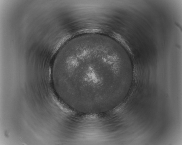 X0000100970110200807081229