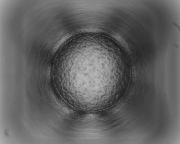 X0000100970111200807081229