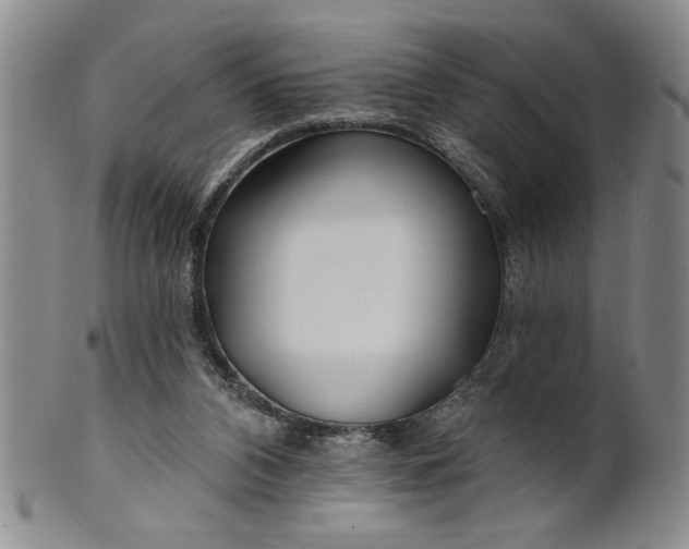 X0000100970112200807081229