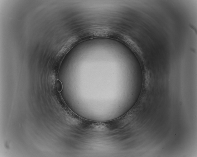 X0000100970113200807081229