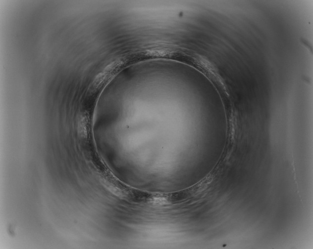 X0000100970114200807081229
