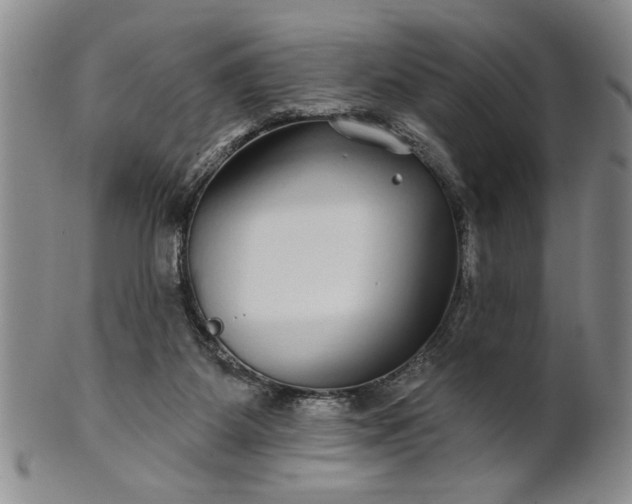 X0000100970115200807081229