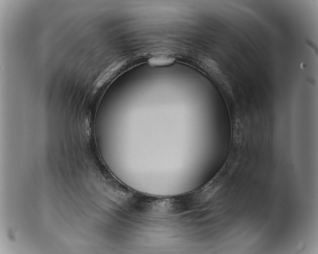 X0000100970116200807081229