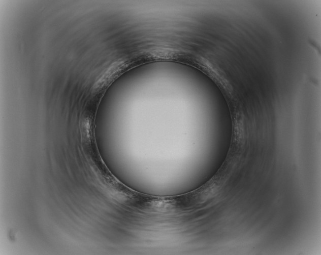 X0000100970117200807081229
