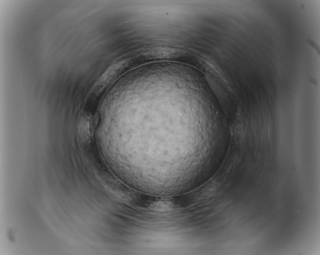 X0000100970119200807081229