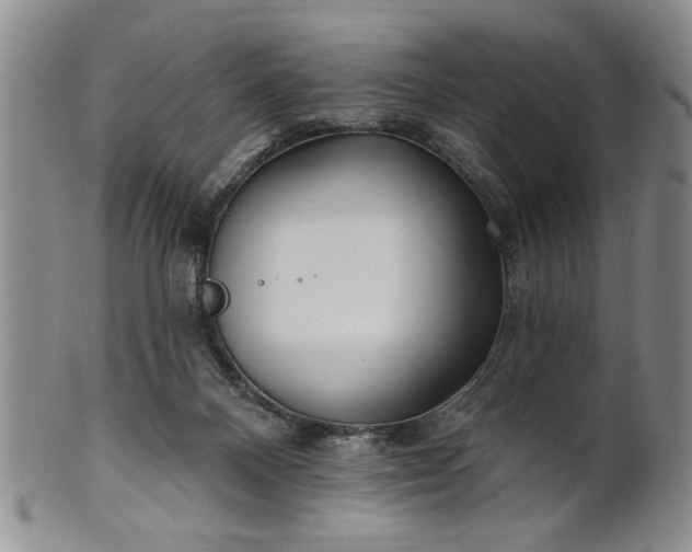 X0000100970120200807081229