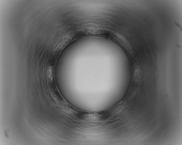 X0000100970121200807081229