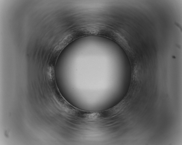 X0000100970122200807081229