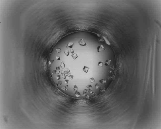 X0000100970123200807081229
