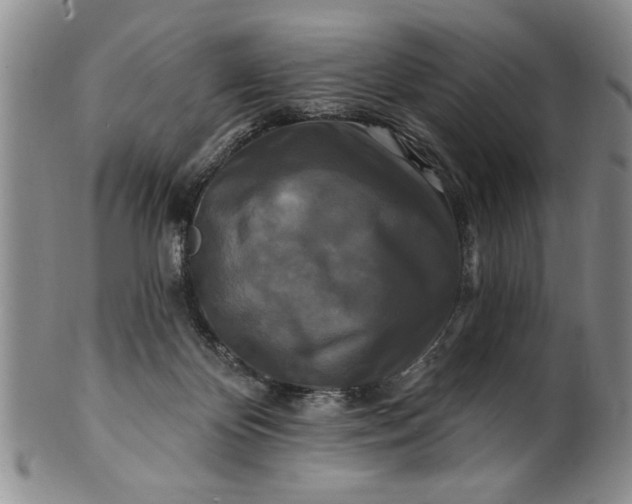 X0000100970124200807081229