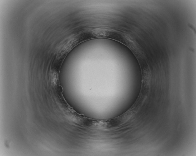 X0000100970125200807081228