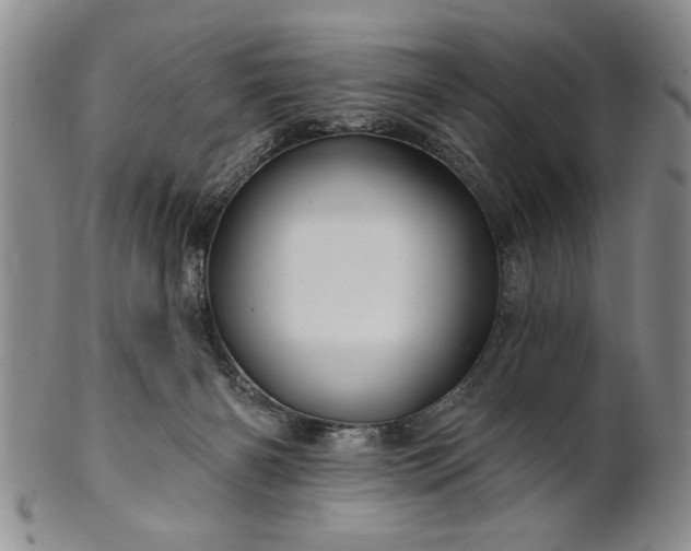X0000100970126200807081228