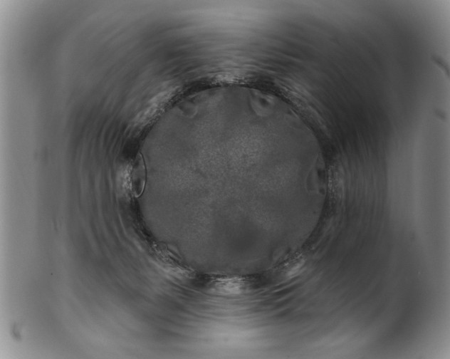 X0000100970127200807081228