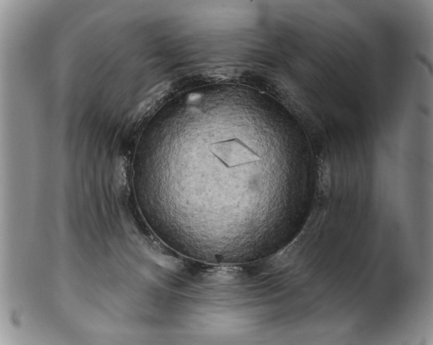 X0000100970128200807081228