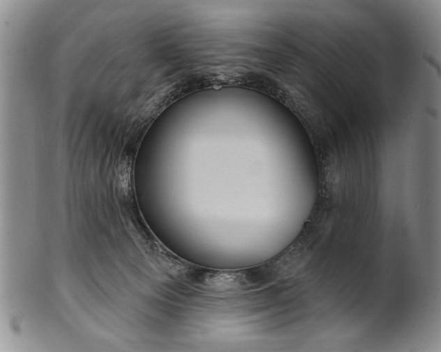 X0000100970129200807081228