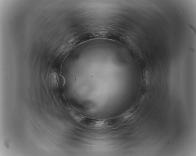 X0000100970130200807081228