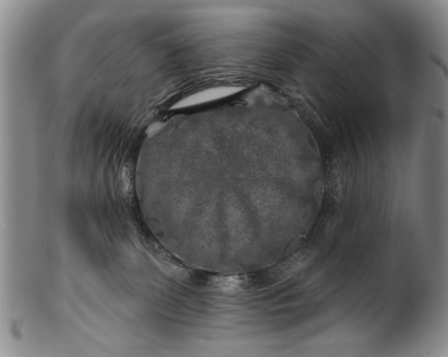 X0000100970131200807081228