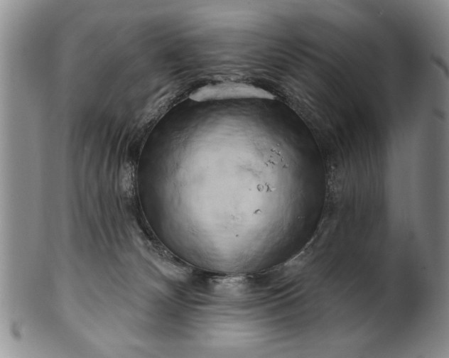 X0000100970132200807081228
