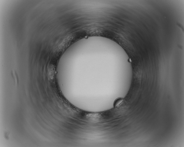 X0000100970133200807081228