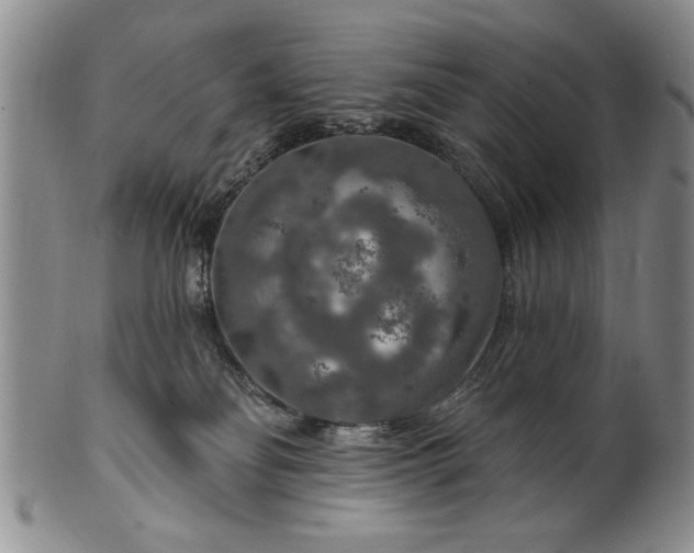 X0000100970134200807081228