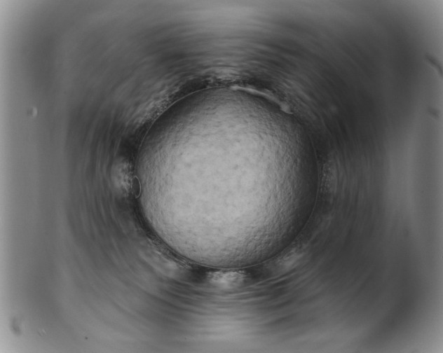 X0000100970135200807081228