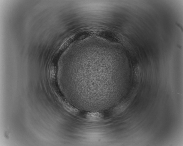 X0000100970137200807081228