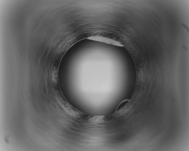 X0000100970138200807081228