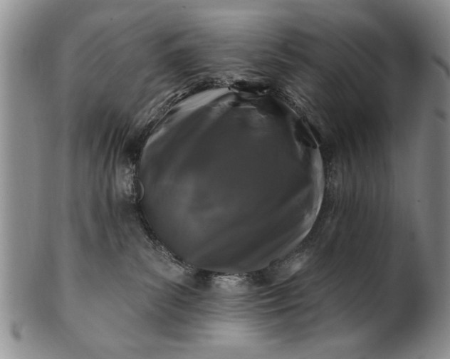 X0000100970139200807081228