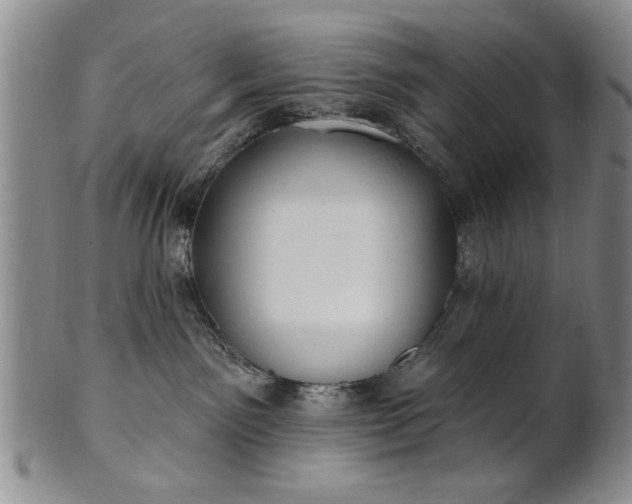 X0000100970141200807081228