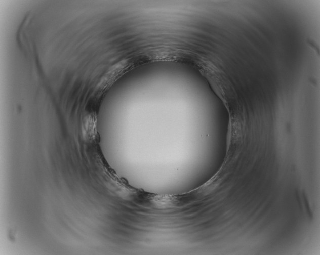 X0000100970142200807081228