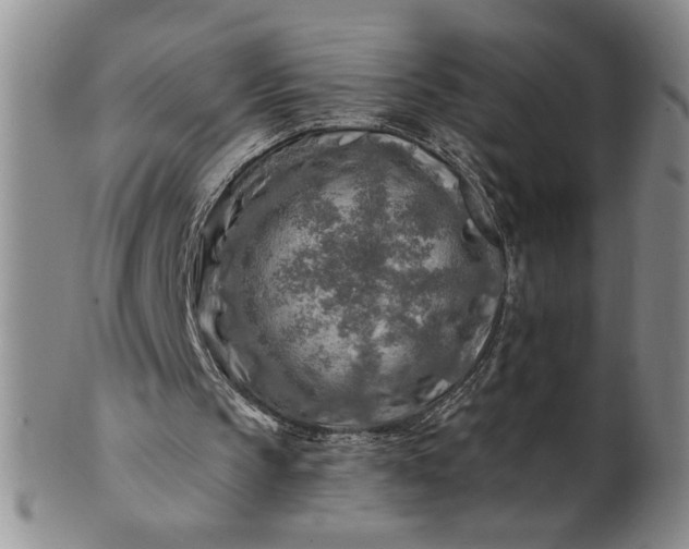 X0000100970145200807081227
