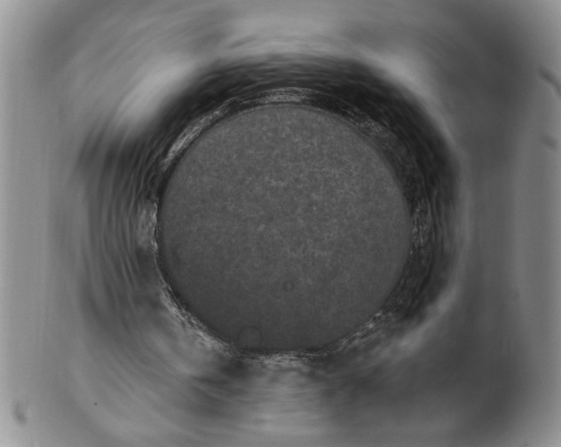 X0000100970146200807081227