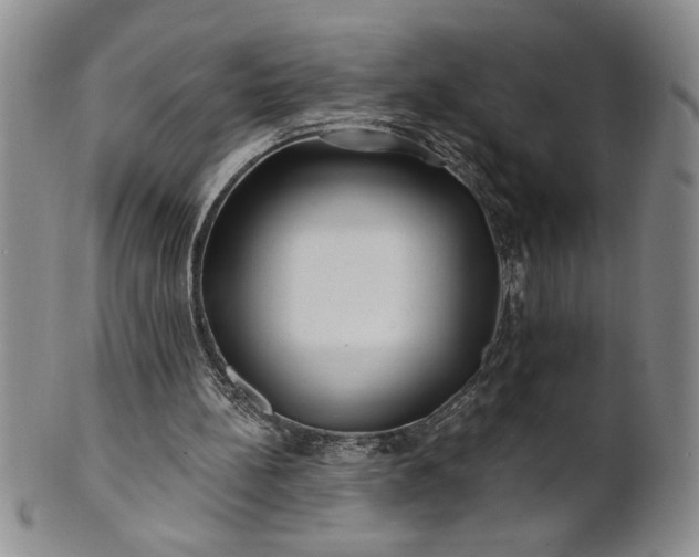 X0000100970148200807081228