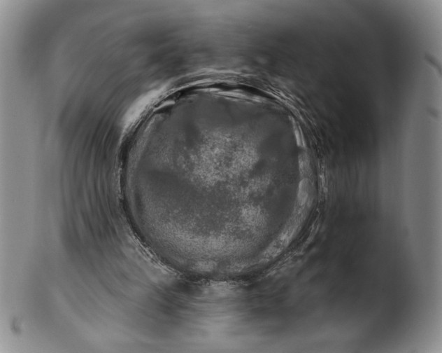X0000100970149200807081228