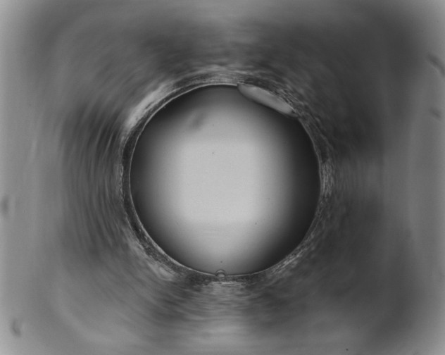 X0000100970150200807081228
