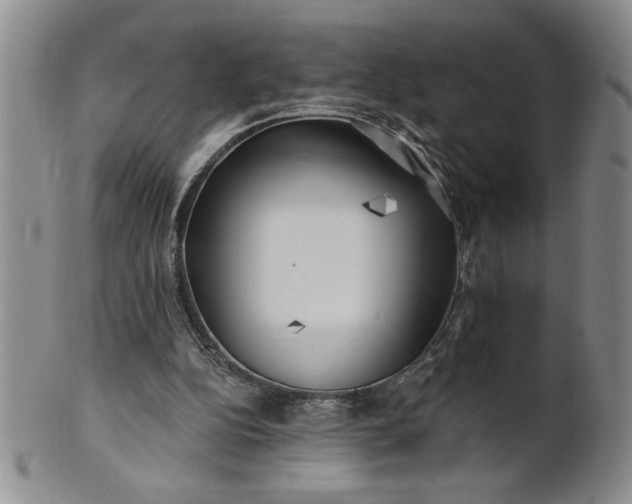 X0000100970152200807081228