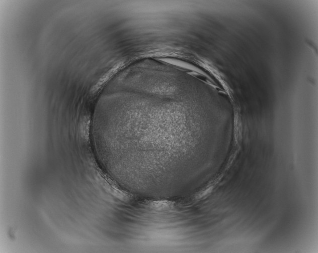 X0000100970153200807081228